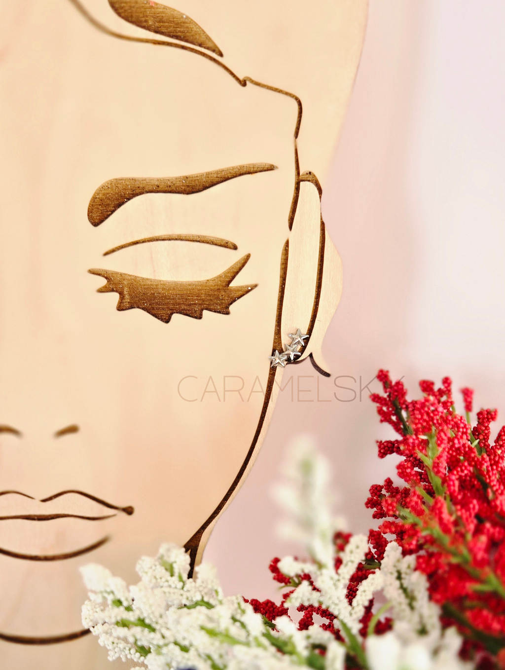 The Celeste Earrings – Stainless Steel Star Climbers