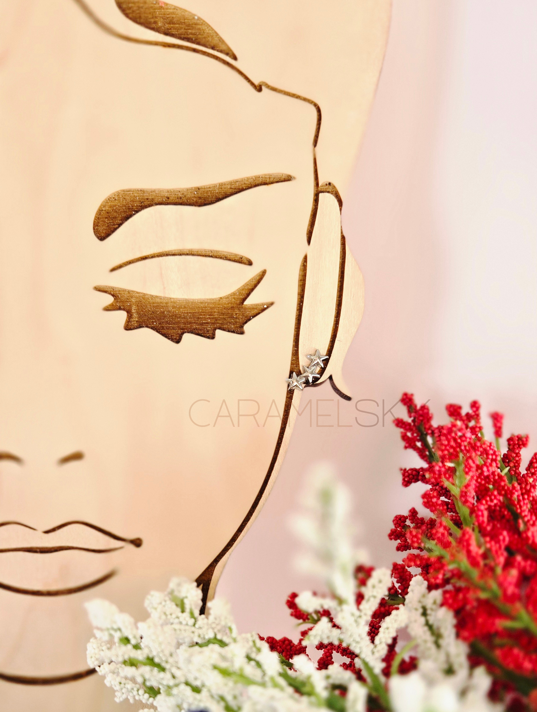 The Celeste Earrings – Stainless Steel Star Climbers